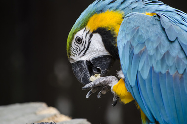 texte-alternatif-photo-intro-billet-I