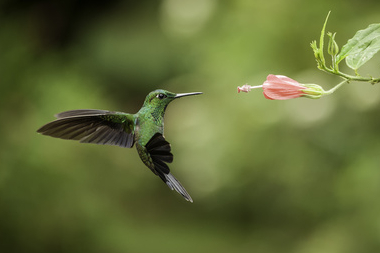 texte-alternatif-photo-intro-billet-II